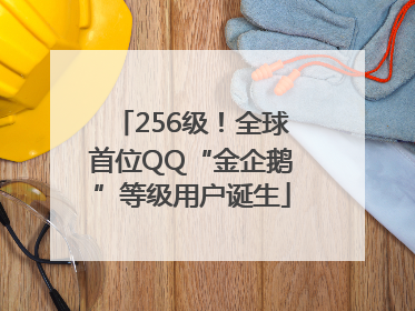 256级！全球首位QQ“金企鹅”等级用户诞生