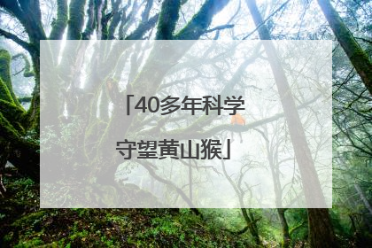 40多年科学守望黄山猴