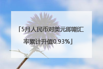5月人民币对美元即期汇率累计升值0.93%
