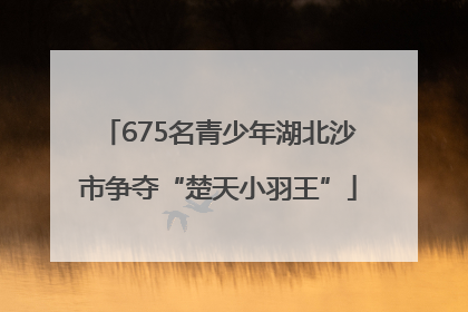 675名青少年湖北沙市争夺“楚天小羽王”