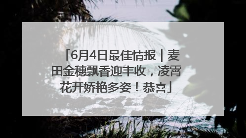 6月4日最佳情报｜麦田金穗飘香迎丰收，凌霄花开娇艳多姿！恭喜