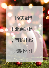 9天9起！北京这地，有蛇出没，请小心