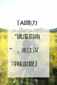 AI助力“挑瓜指南”，来江汉寻味甜夏