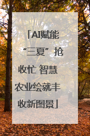AI赋能“三夏”抢收忙 智慧农业绘就丰收新图景
