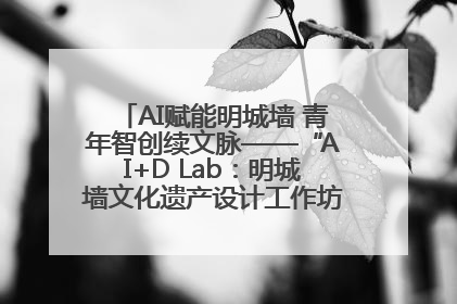 AI赋能明城墙 青年智创续文脉——“AI+D Lab：明城墙文化遗产设计工作坊”在南京开营